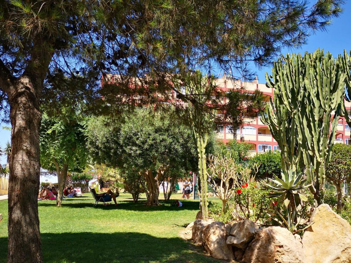 Studio With Terrace And Pool Torrevieja Exterior photo