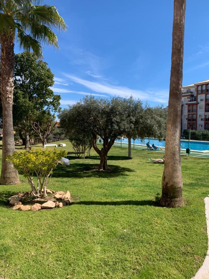 Studio With Terrace And Pool Torrevieja Exterior photo